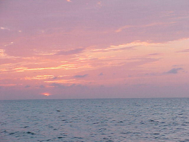 MVC_001F_029.jpg
