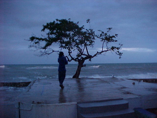 MVC_002F_007.jpg