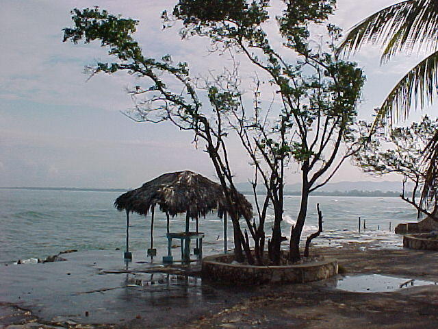 MVC_002F_020.jpg