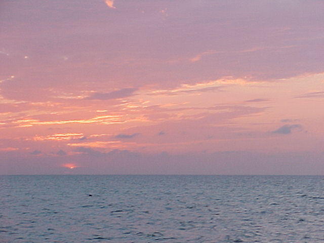 MVC_002F_027.jpg