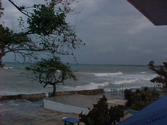 MVC_003F_006.jpg