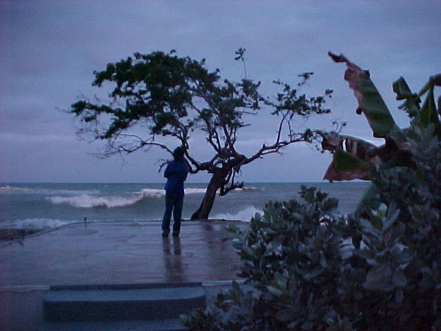 MVC_003F_007.jpg