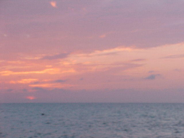 MVC_003F_026.jpg