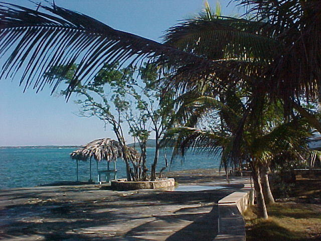 MVC_004F_008.jpg