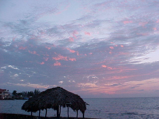 MVC_004F_026.jpg
