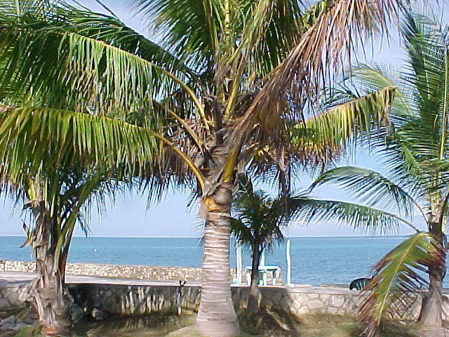 MVC_005F_005.jpg