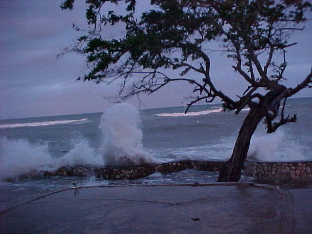 MVC_005F_006.jpg
