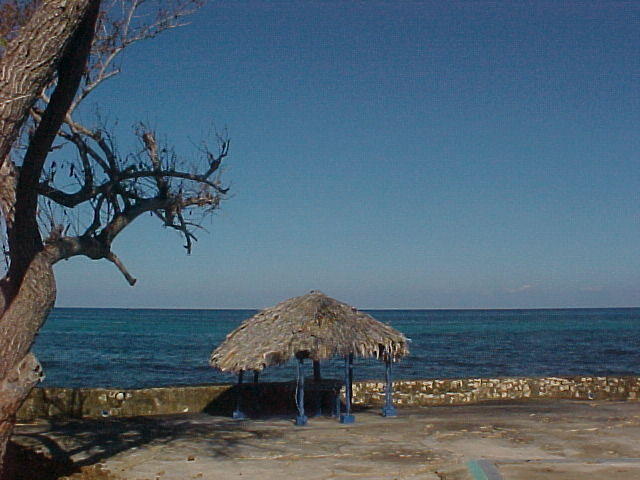 MVC_005F_007.jpg