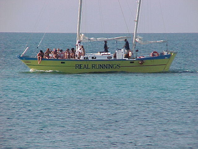 MVC_005F_016.jpg