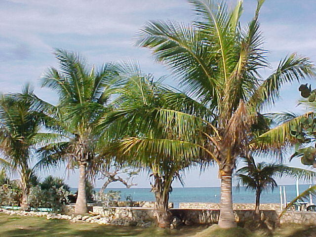 MVC_006F_005.jpg