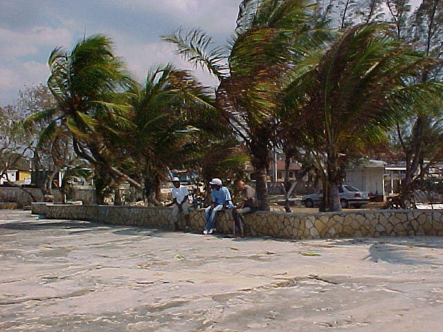 MVC_006F_014.jpg