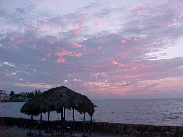 MVC_006F_020.jpg
