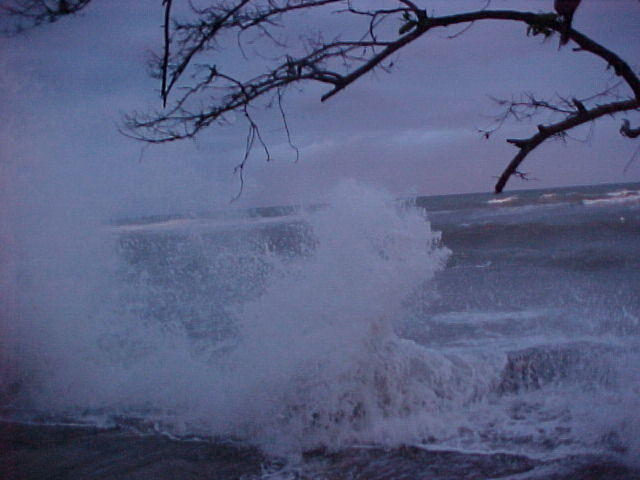 MVC_007F_006.jpg
