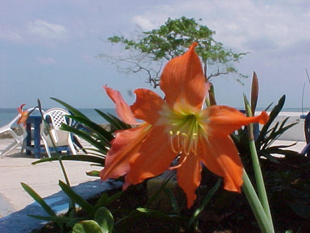 MVC_007F_017.jpg