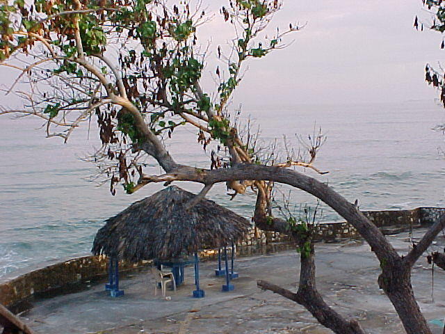 MVC_008F_013.jpg