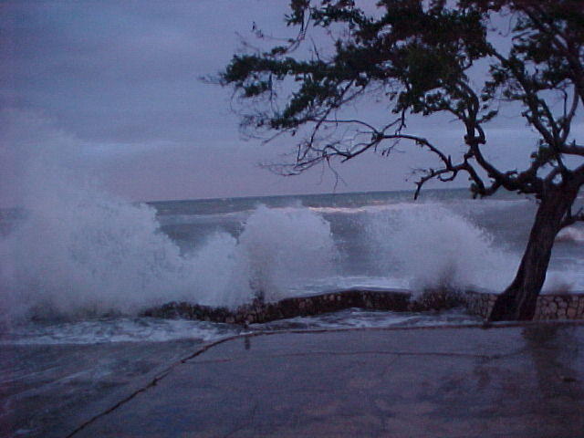 MVC_009F_007.jpg