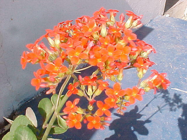 MVC_010F_004.jpg