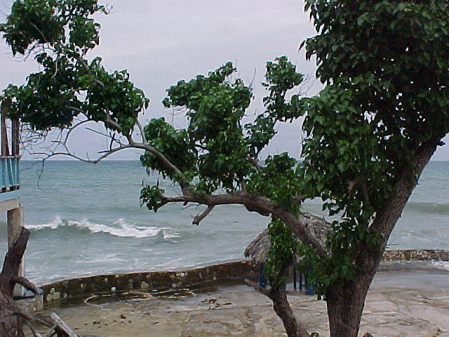 MVC_010F_014.jpg