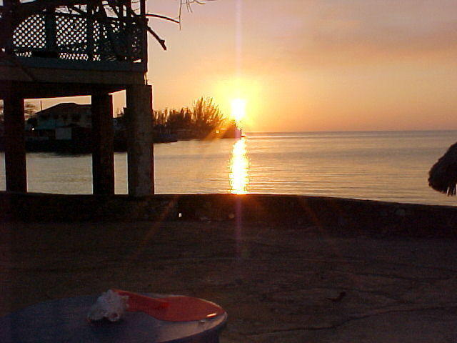 MVC_011F_013.jpg