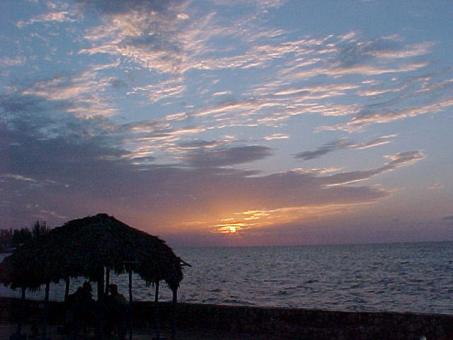 MVC_011F_014.jpg