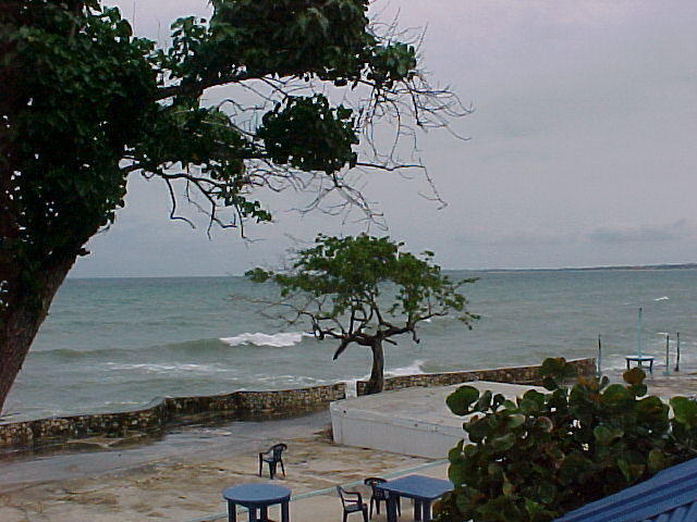 MVC_012F_010.jpg