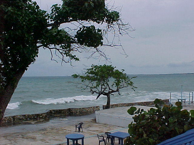 MVC_013F_009.jpg
