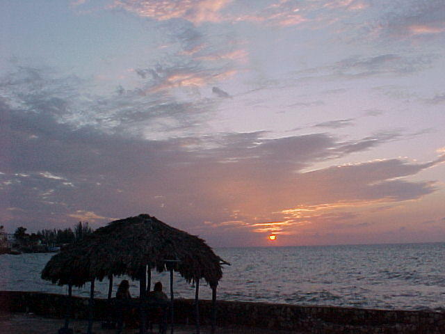 MVC_013F_010.jpg