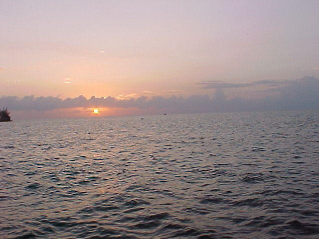 MVC_014F_007.jpg