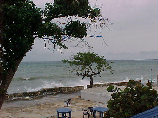 MVC_014F_008.jpg