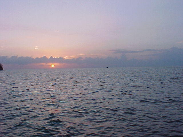 MVC_015F_005.jpg