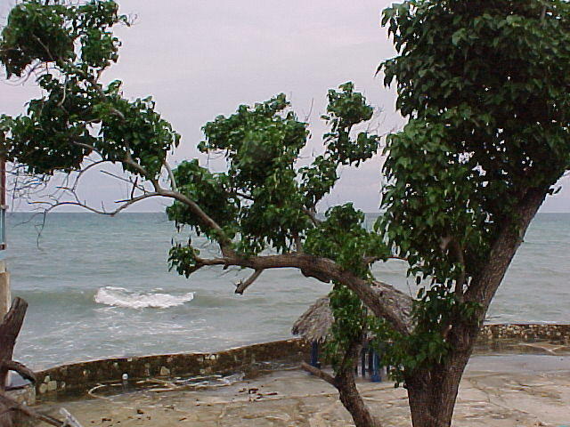 MVC_015F_006.jpg
