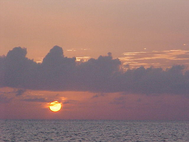 MVC_016F_005.jpg