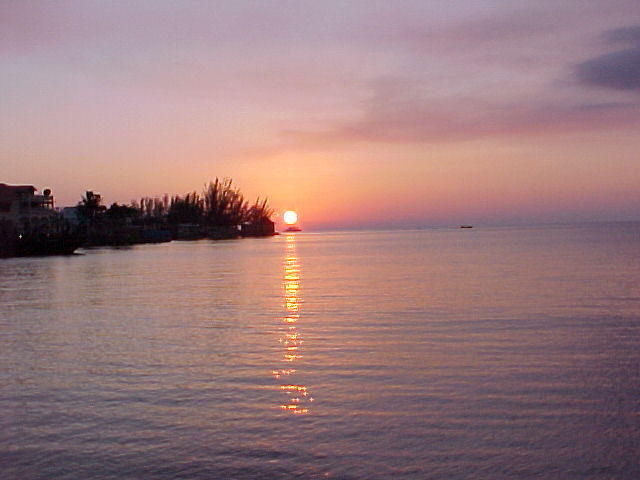 MVC_017F_004.jpg