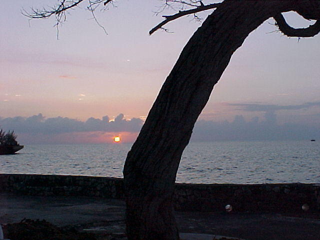 MVC_017F_005.jpg