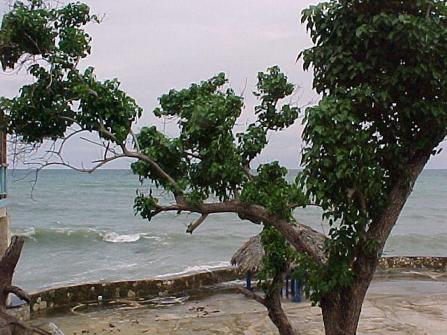 MVC_017F_006.jpg