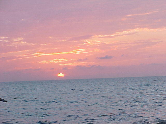 MVC_017F_007.jpg
