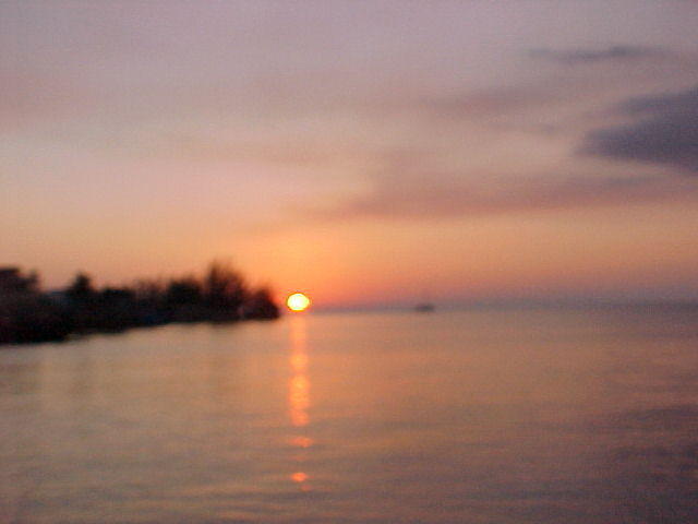 MVC_018F_001.jpg