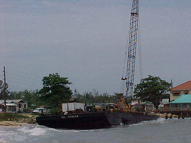 MVC_019F_002.jpg