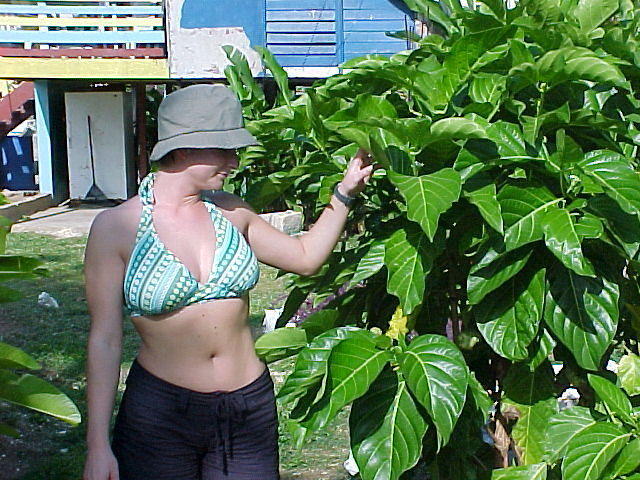 MVC_003F_017.jpg