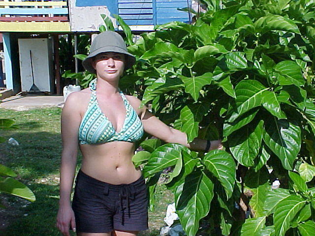 MVC_004F_017.jpg