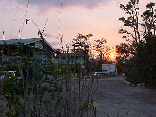 MVC_005F_011.jpg
