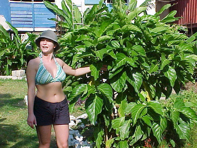 MVC_005F_016.jpg