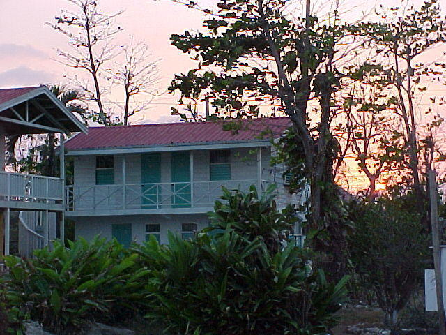 MVC_008F_012.jpg