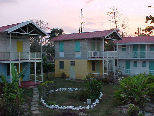 MVC_009F_010.jpg
