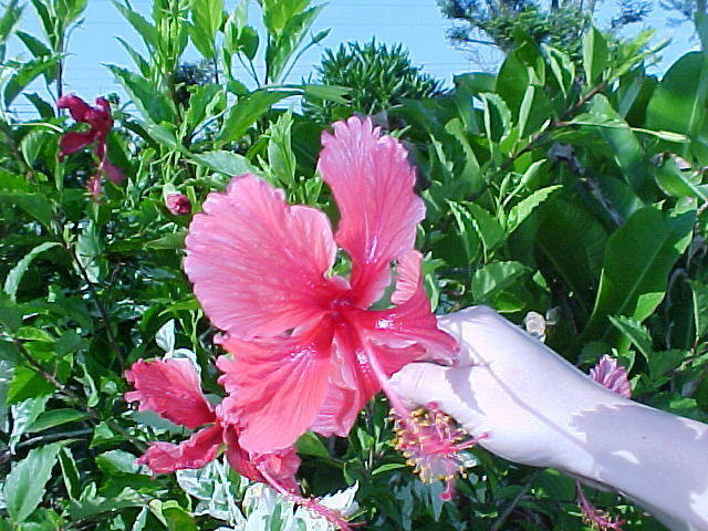MVC_010F_012.jpg