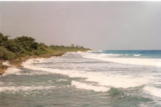 Beach, from Robert