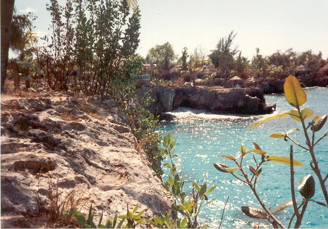 pic90776.jpg