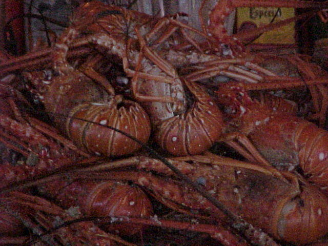 MVC_007F_003.jpg