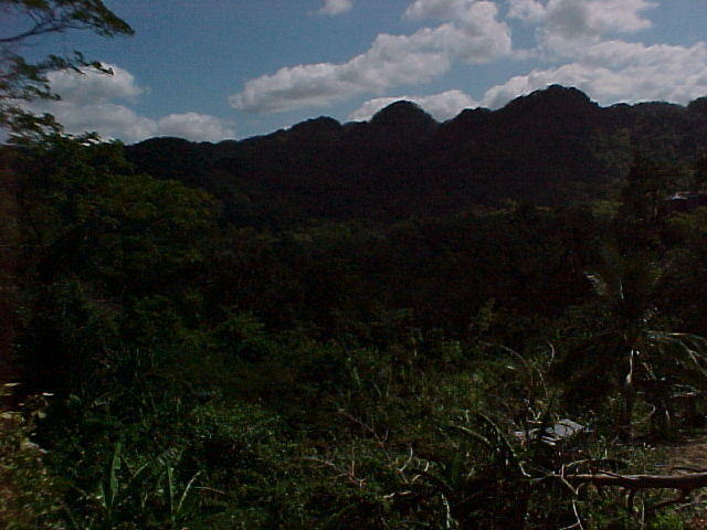 MVC_004F.jpg