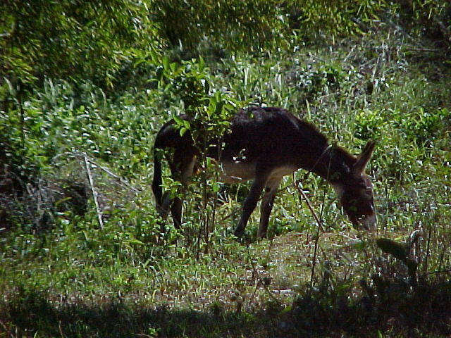 MVC_004F_001.jpg